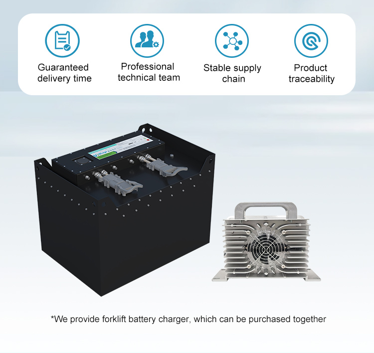 Forklift Battery Details 7
