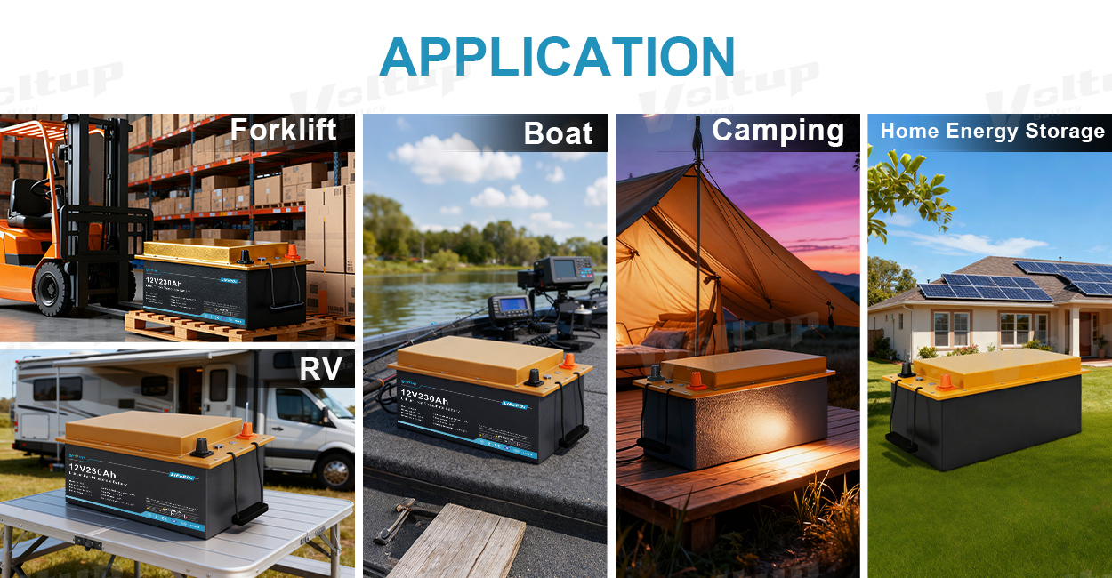 VT-12230 LFP Battery (4)