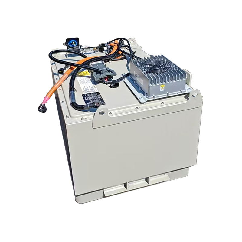 LiFePO4 Forklift Battery (5)