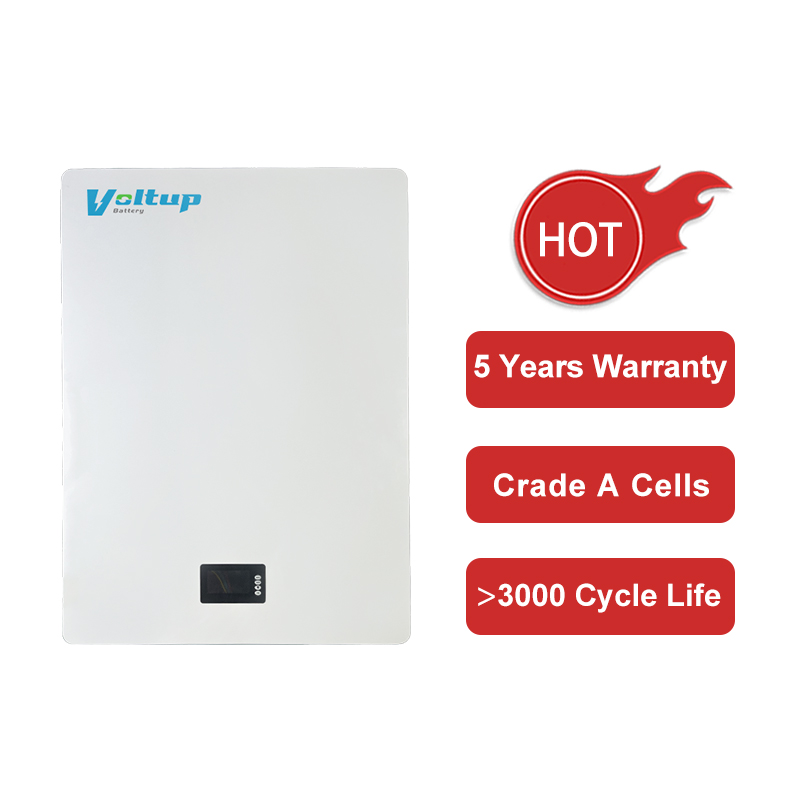 51.2v Energy Storage Battery (2)