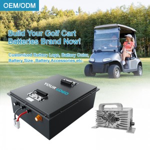 100ah Lifepo4 Battery 51.2v Lithium ion Golf Cart Batteries 48v Battery Pack for Club Car
