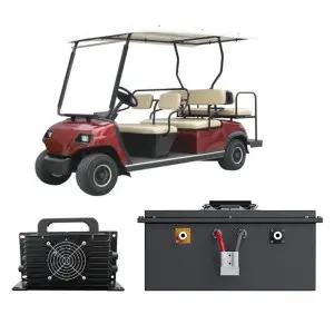 Voltup Golf Cart Battery 100ah 48v 51.2v Lithium iron Phosphate Batteries