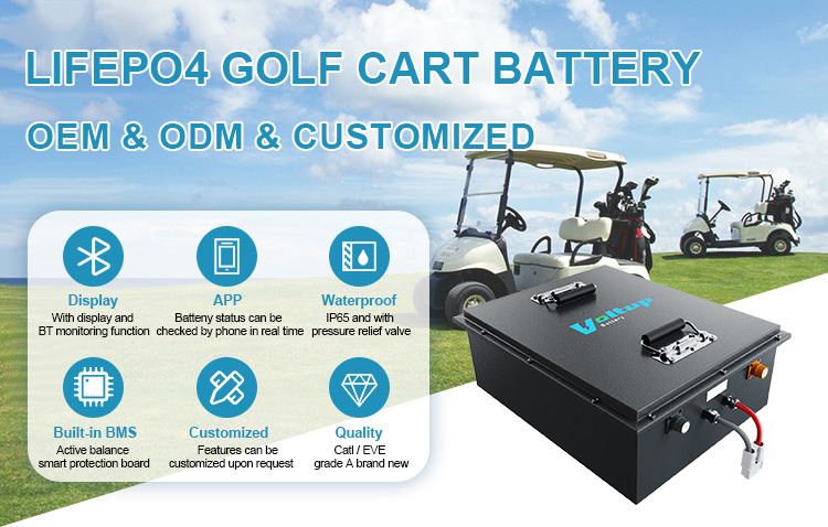 Golf cart battery